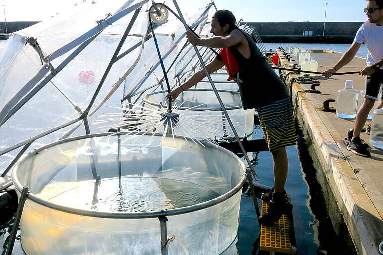 Mesokosmen auf Gran Canaria.