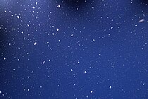 "Meeres-Schnee" Foto: Henk-Jan Hoving/GEOMAR