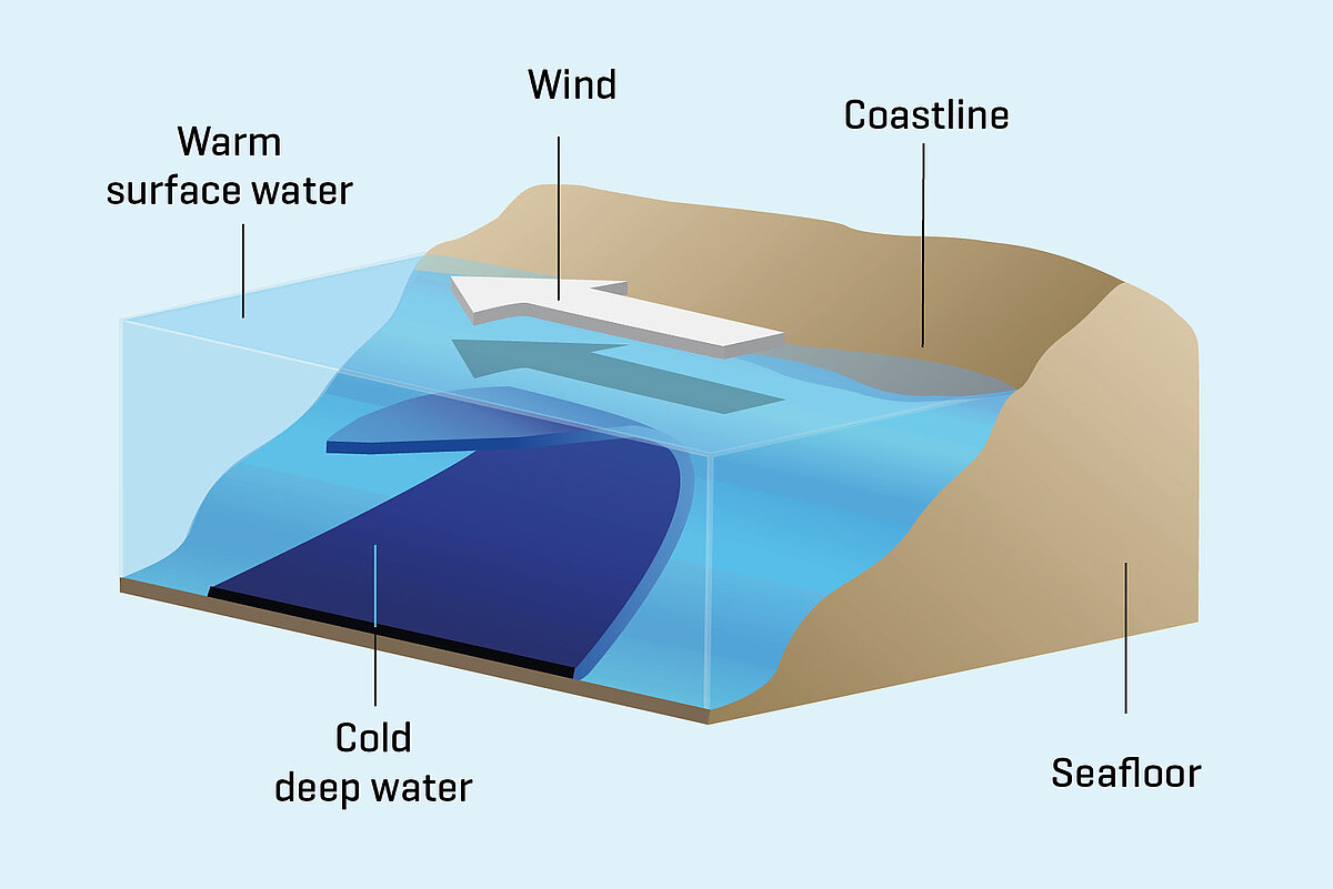 Illustration of a coastal upwelling area