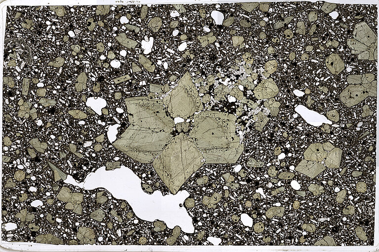 Stiched thin section image (PPL)