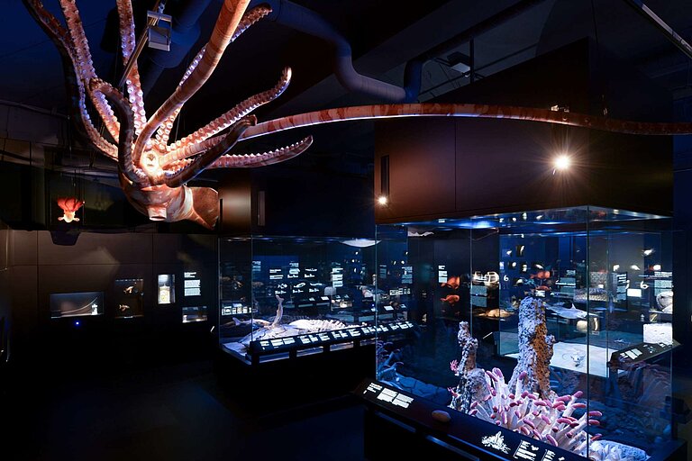 Blick in den Ausstellungsraum „Tiefsee“im Senckenberg Naturmuseum. Foto: Senckenberg/Tränkner