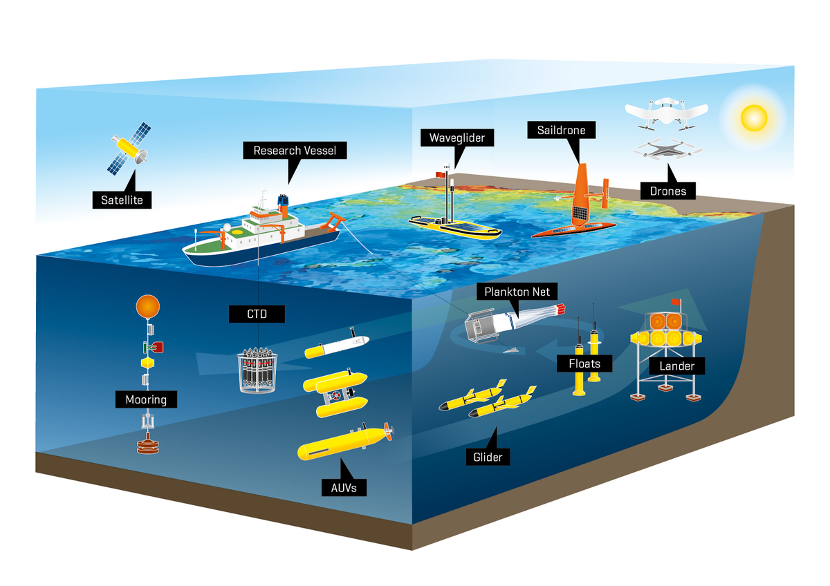 Visual ocean observing