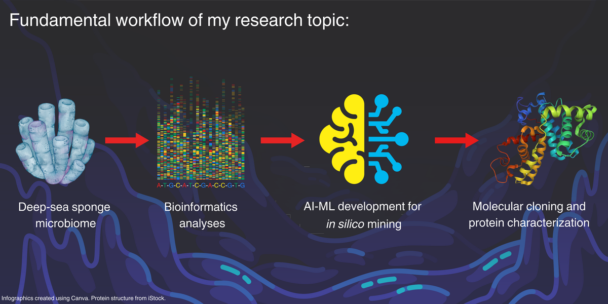 Fundamental workflow 