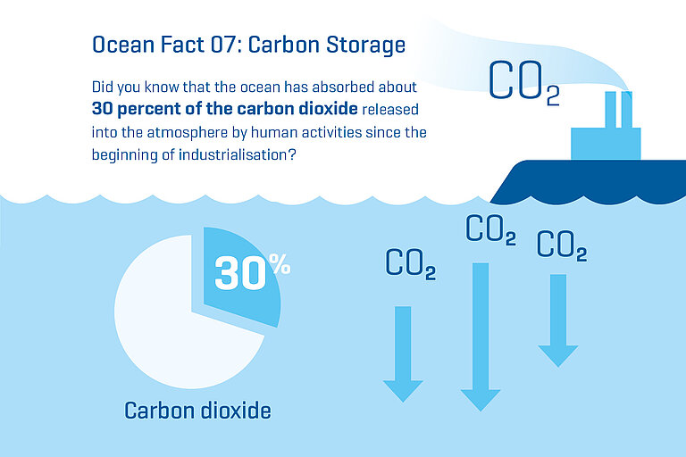 Did you know that the ocean has absorbed about 30 percent of the carbon dioxide released into the atmosphere by human activities since the beginning of industrialisation?
