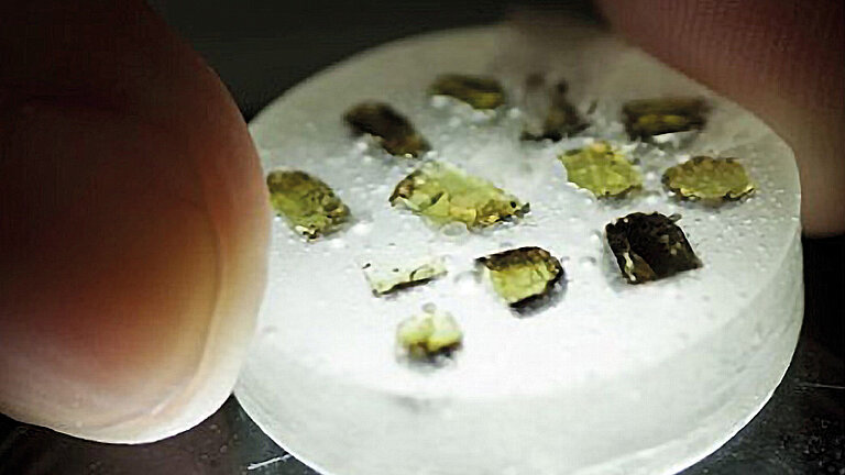 Crystals of olivine picked from volcanic samples
