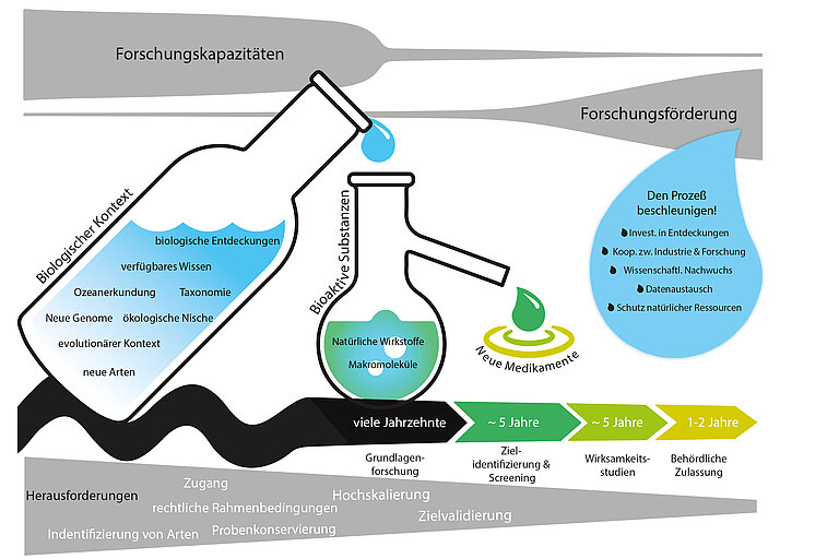 Schematische Abbildung zu den Prozesse vom Wirkstoff zum Medikament. Quelle: nach Sigward et al.