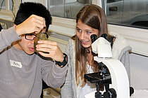 Erst das Mikroskop zeigt, was in einem Wassertropfen wirklich steckt. Foto: J. Dengg, GEOMAR