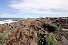 Intertidal rocky shore alongside the Saint Lawrence River.