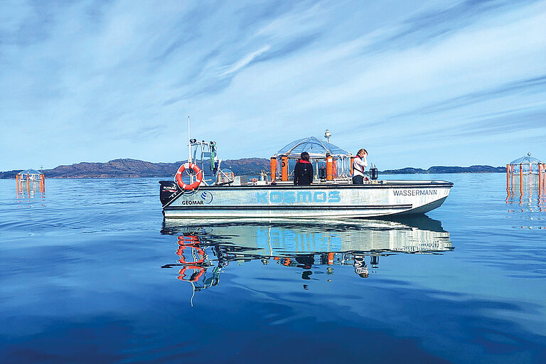 In abgeschlossenen Mesokosmen können Experimente unter naturgetreuen Bedingungen durchgeführt werden, hier im Rahmen des europäischen Projekts OceanNETs. Foto: Lukas Krause, GEOMAR