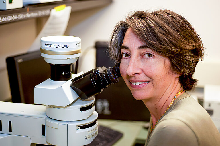 Die Hauptautorin der Studie, Prof. Dr. Alexandra Z. Worden, im Labor. Foto: Todd Walsh/MBARI