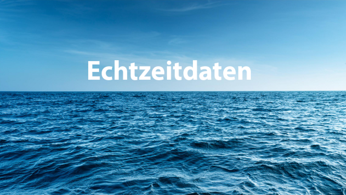 Echtzeitdaten