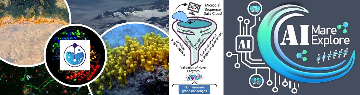 XTREAM amd AI Mare Explore