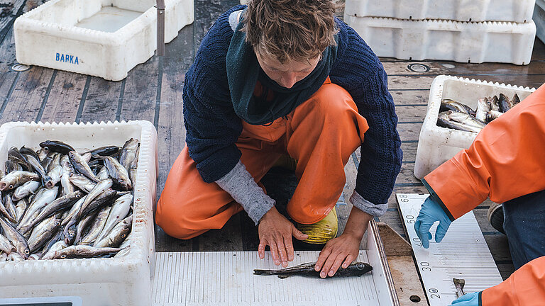 Foto ALKOR Expedition AL594 