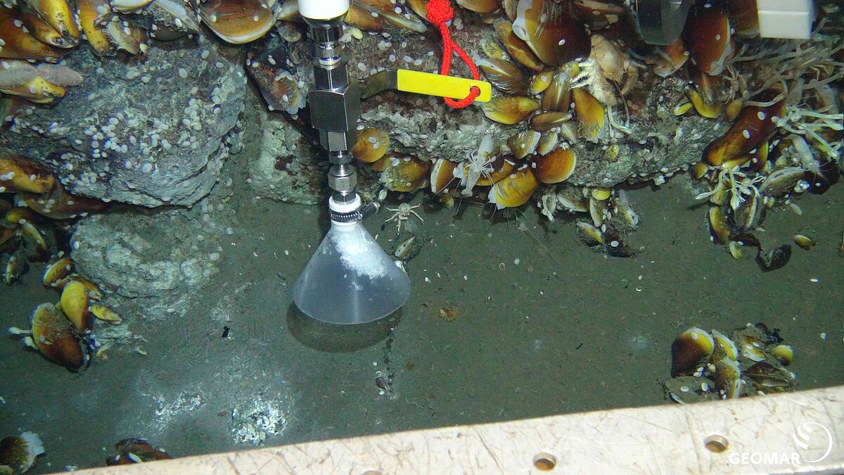 Gassampling Trichter