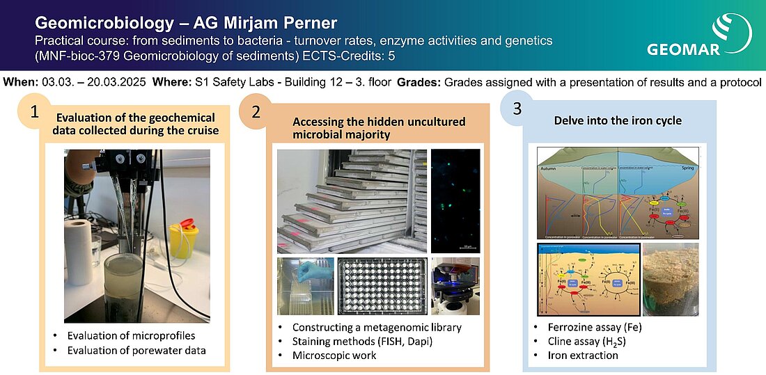 Overview of the course MNF-bioc-379: Geomicrobiology of sediments