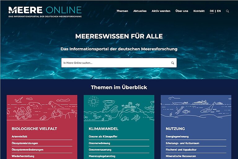 Screenshot Infoportal Meere Online