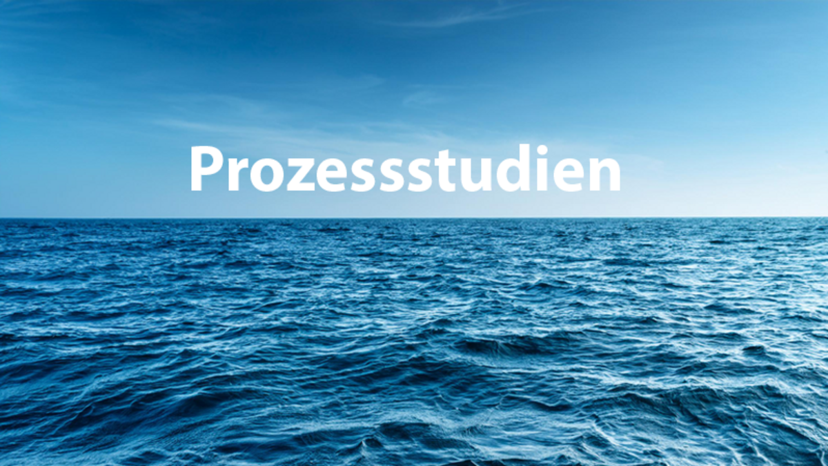 Prozessstudien