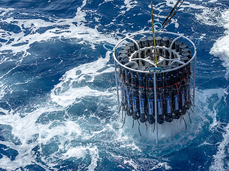 Ein Kranzwasserschöpfer schwebt kurz über der Wasseroberfläche