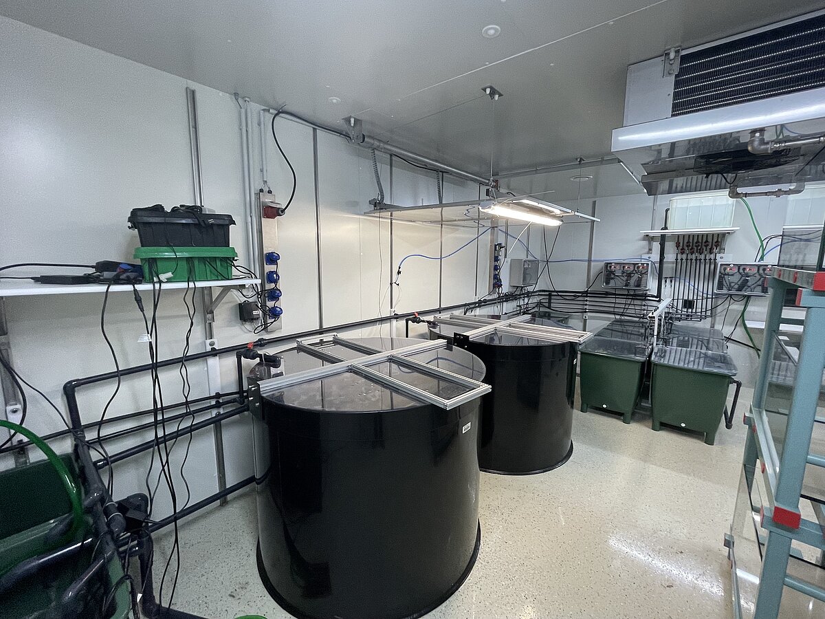 Inside a climIn einem Klima-Kulturraum sind zahlreiche schwarz-grüne Tanks unterschiedlicher Größe sowie viele Schläuche und Rohre zu sehen, die die Tanks miteinander verbinden.ate culture room a number of different-sized black and green tanks as well as many tubes and hoses that connect the tanks can be seen