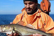 Dr. Jan Dierking, Meeresbiologe am GEOMAR