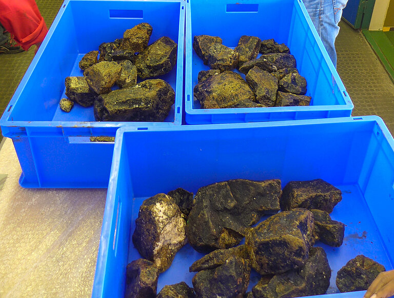 Rock samples from the researched area.