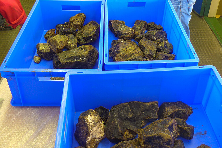 Gesteinsproben aus den Forschungsgebieten