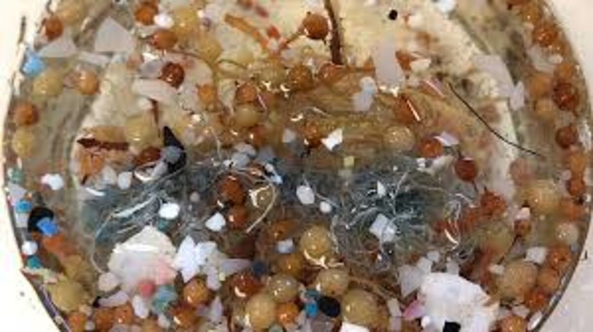 Mikroplastik im Meer 