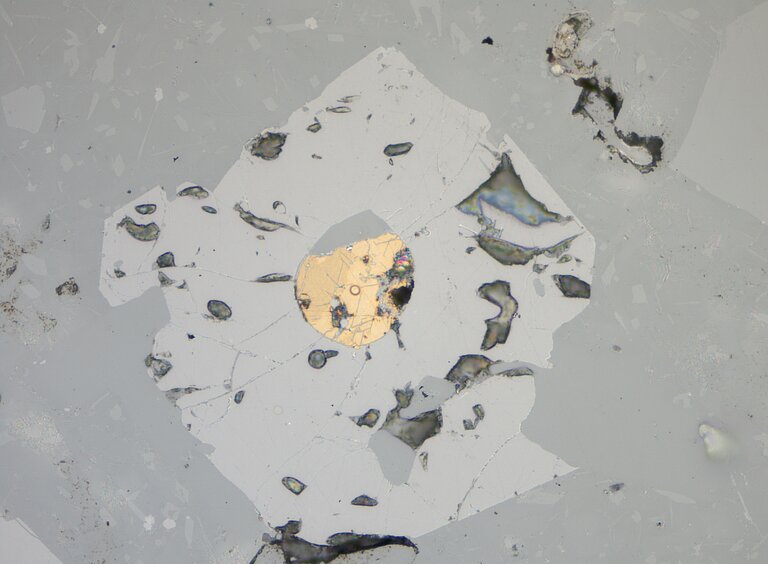 Reflected light image of oxide and sulfide inclusion