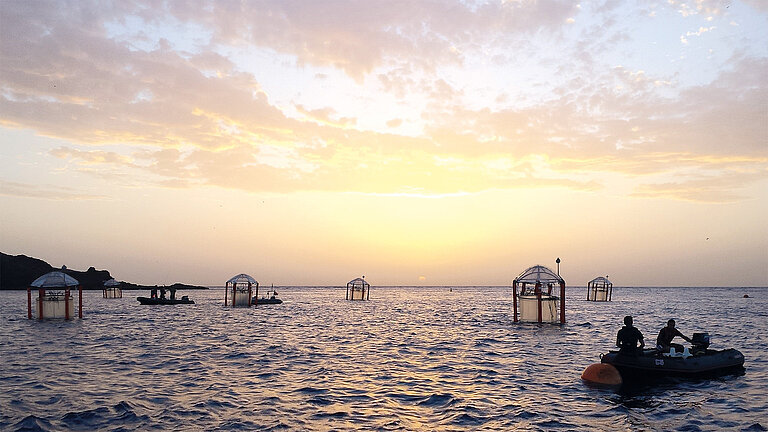 2014, Bahia de Gando, Gran Canaria: Vor Gran Canaria wurde erstmals untersucht, wie Organismen im nährstoffarmen offenen Ozean reagieren, wenn dieser durch die Aufnahme von CO2 allmählich versauert.