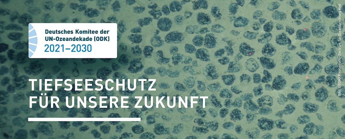 Titel Positionspapier Tiefseebergbau