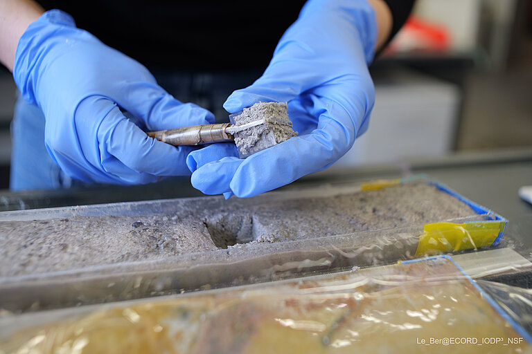 Großaufnahme von zwei Händen in blauen Laborhandschuhen, die eine Probe aus einem Sedimentkern bearbeiten
