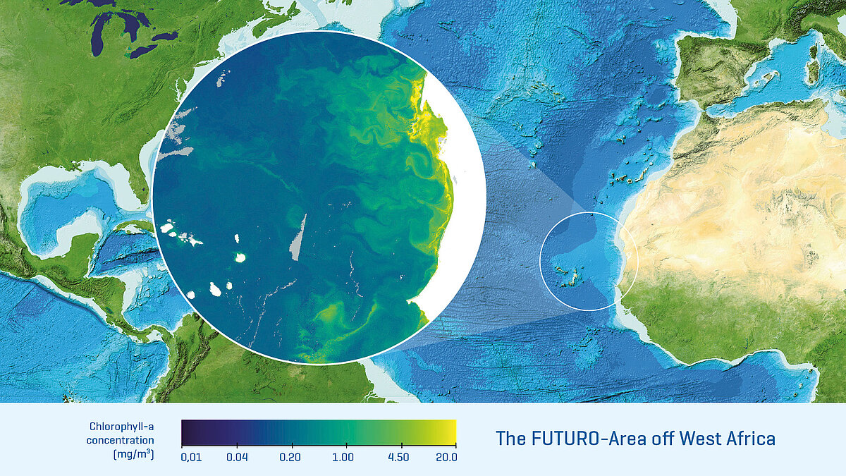 The FUTURO-Area off West Africa