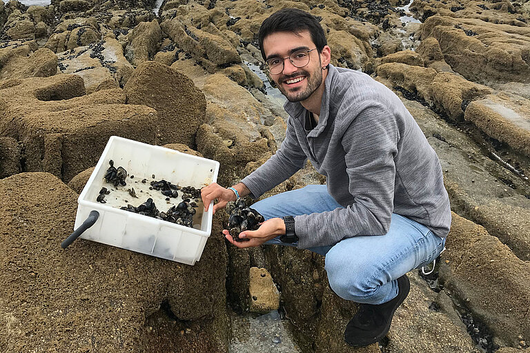 Ein junger Mann sammelt Muscheln für Experimente.