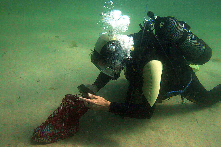 How to apply WS 2026/2027