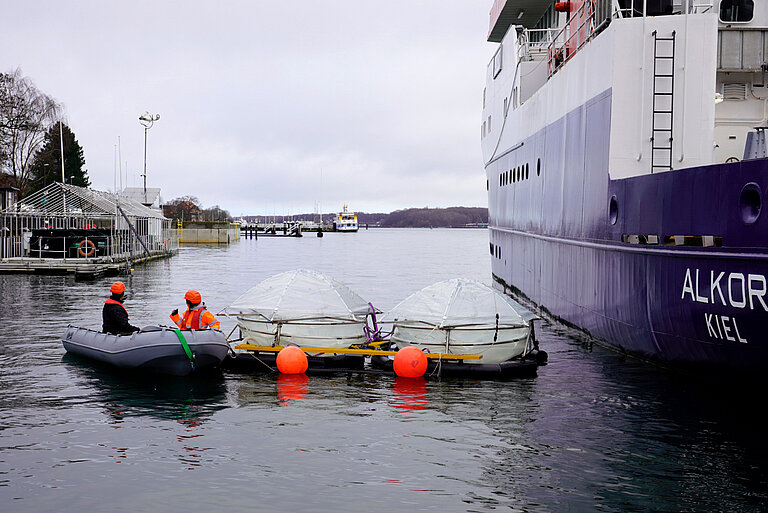 Die Mesoskosmen werden an der Benthokosmen-Anlage verankert. Foto: Sarah Kaehlert, GEOMAR
