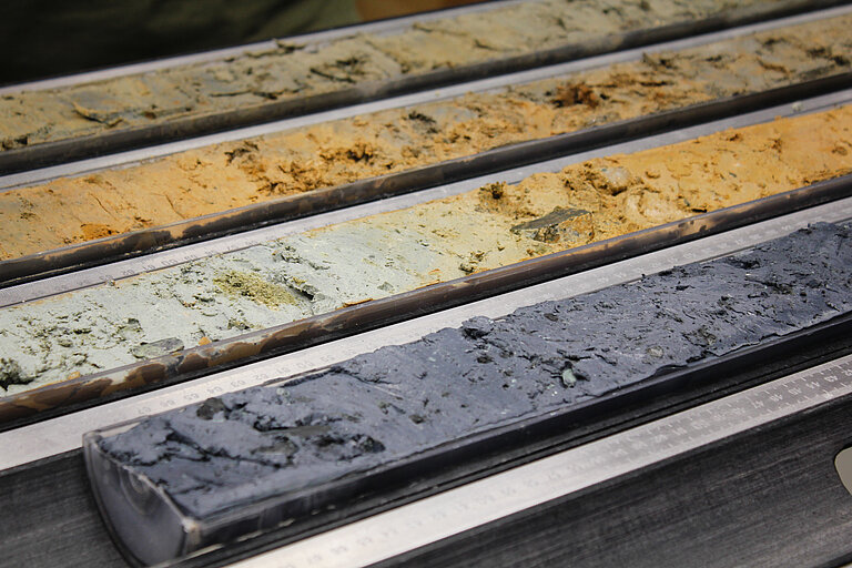 Aufgeschnittene Kerne aus einem Schlammvulkan liegen auf einem Labortisch