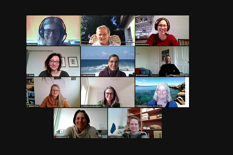 Screenshot Video-Konferent WEB