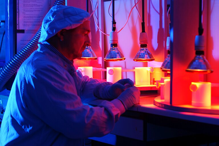 Prof. Dr. Eisenhauer im Labor. Foto: GEOMAR.