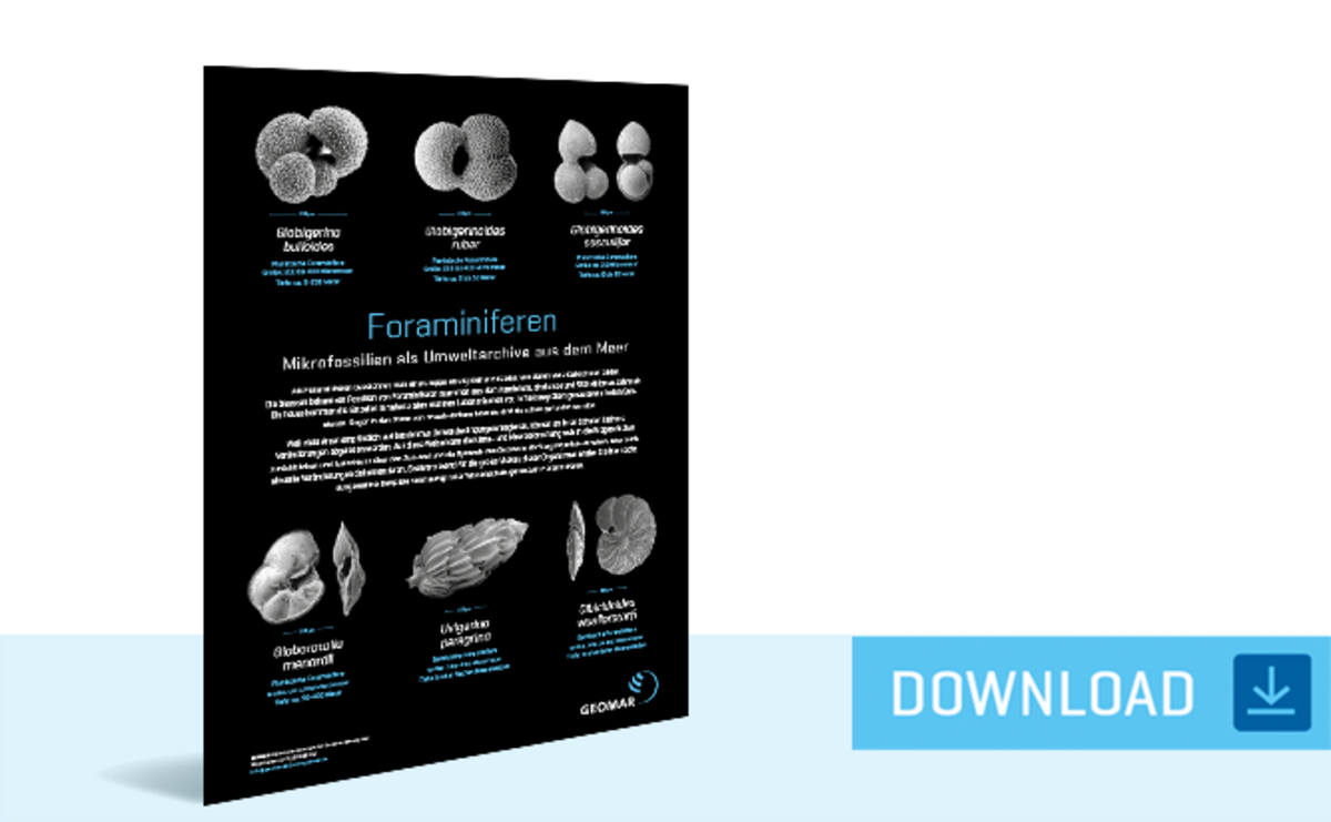 Poster "Foraminiferen - Mikrofossilien als Umwelt­­archive aus dem Meer" (PDF) 