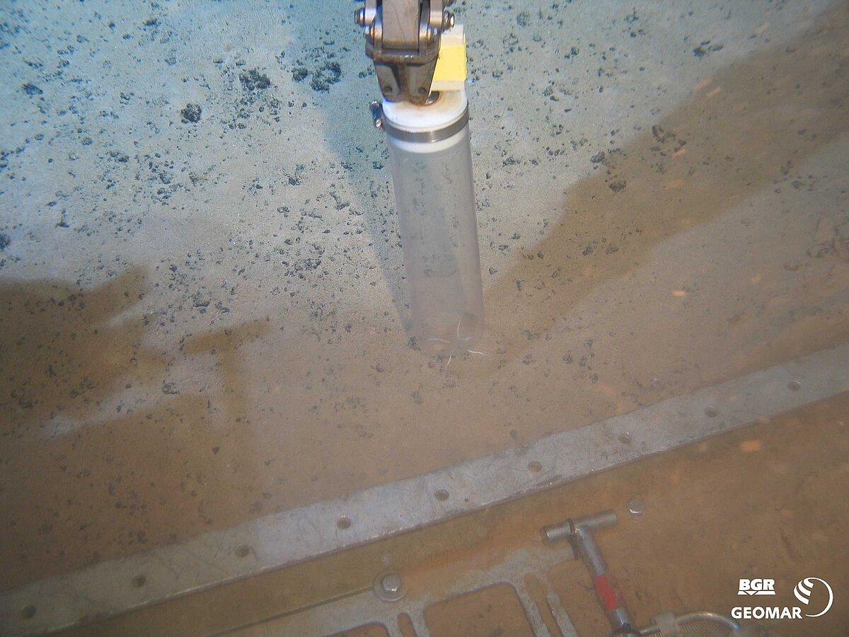 Inaktives Schlotfragment (3090 m).