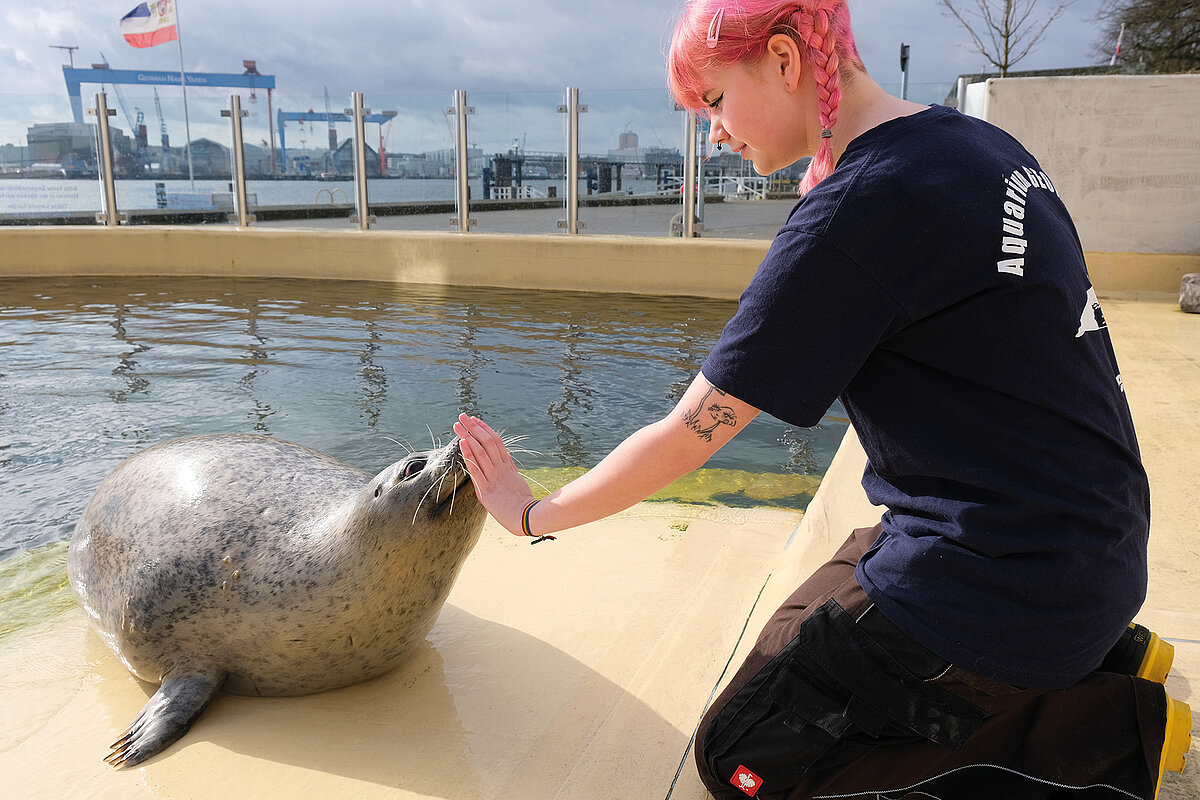 Auszubildende im Aquarium GEOMAR