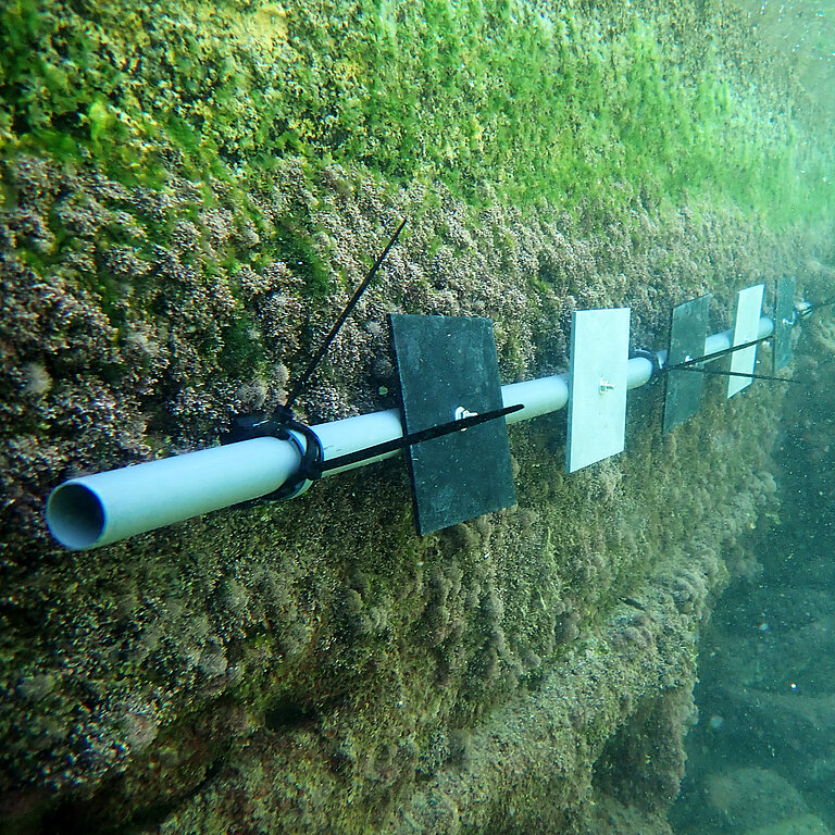 Versuchsaufbau im Wasser in Israel