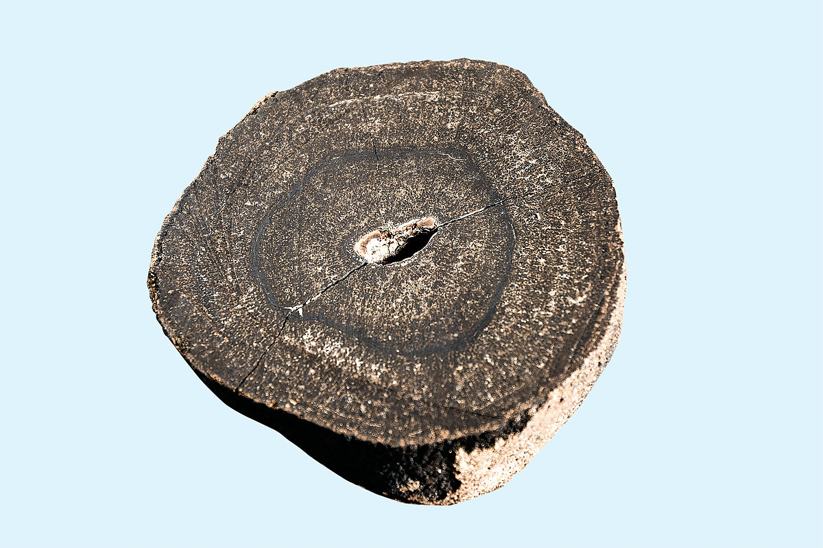 Schnitt durch eine Manganknolle.