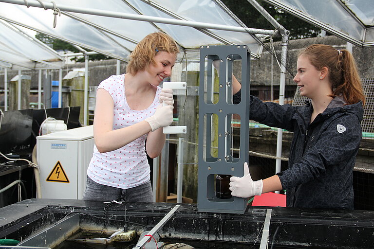 Jorina Sendel (links) und Lara Beuke (rechts) bei der Probennahme an den Kieler Benthokosmen. Foto: Sally Soria-Dengg, GEOMAR
