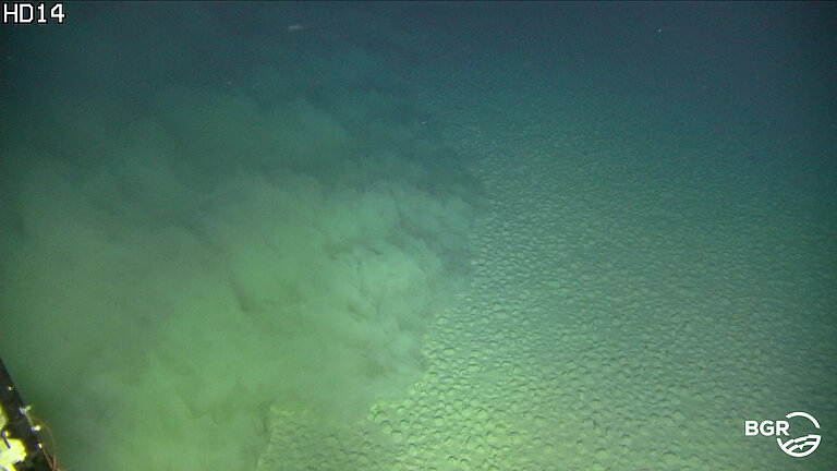 Aufnahme vom Meeresgrund, der Boden hat eine hubbelige Struktur, von links kommt eine Sedimentwolke herein