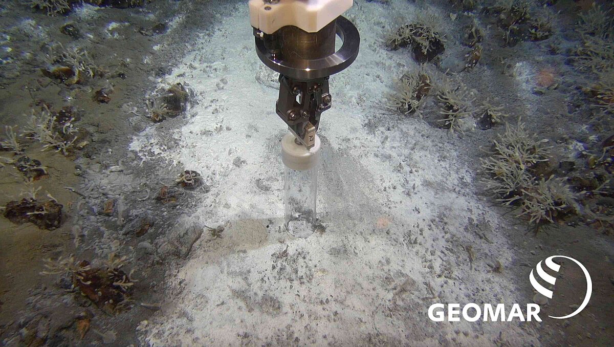 Orion pushcore BAkterienmatte 