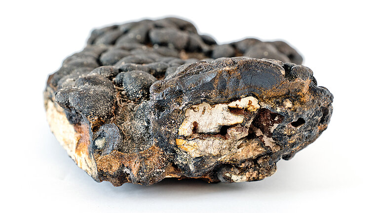 Fragment einer Kobaltkruste vom Carter Seamount im tropischen Atlantik. 