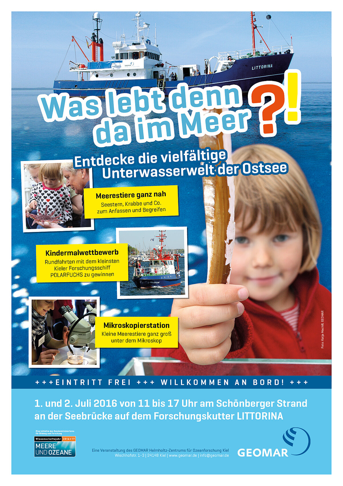 Poster "Was lebt denn da im Meer?!"