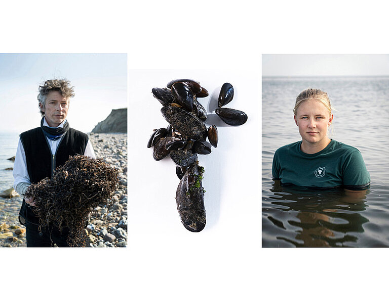 Teaser Meeresmenschen