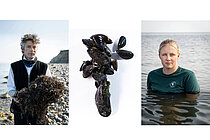 Teaser Meeresmenschen